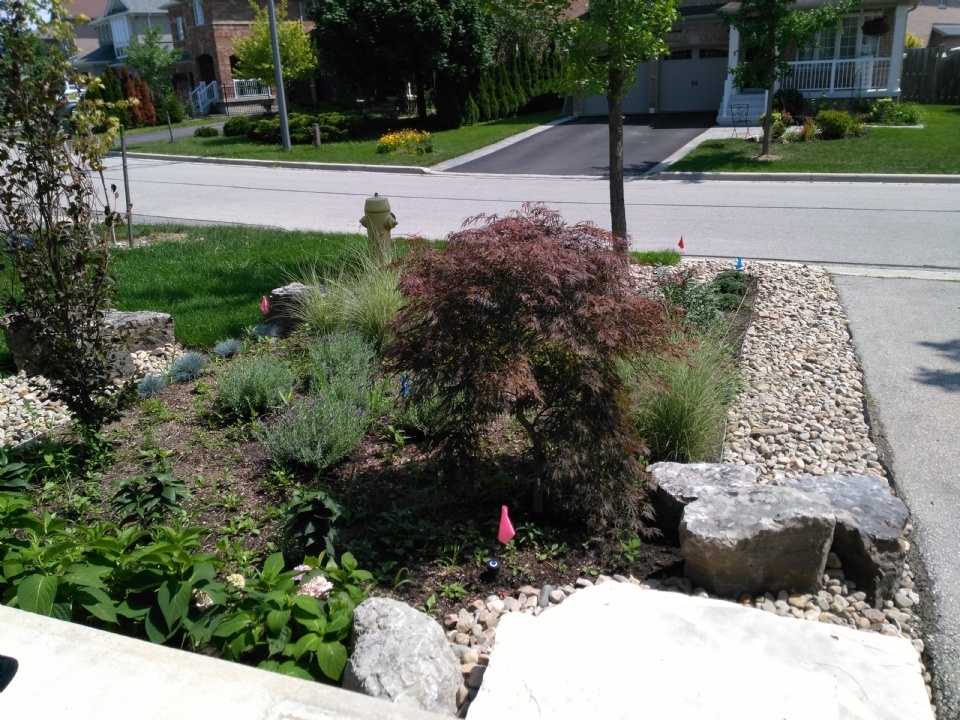 feedback_pic_23550