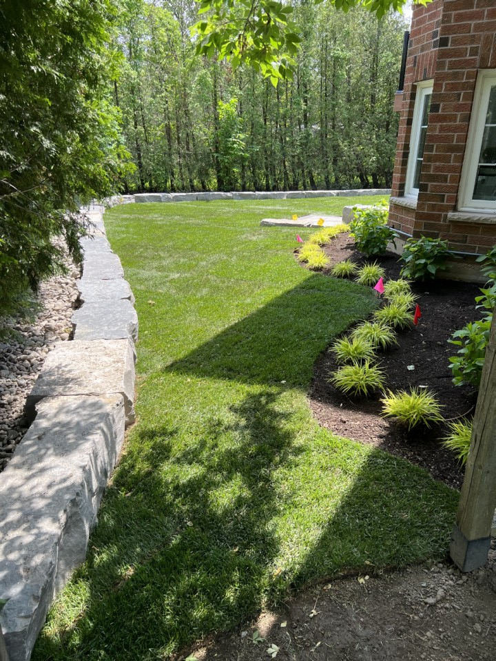feedback_pic_54199