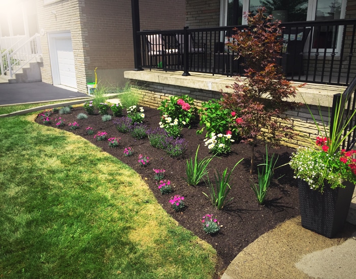 final_site_garden